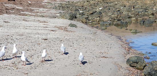 Links Lady Bay Golf Course