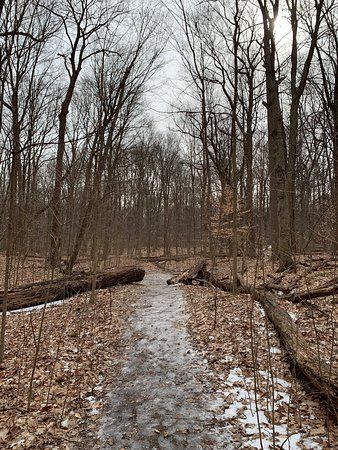 Rotary Park