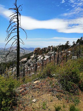 Mount Lemmon Trail