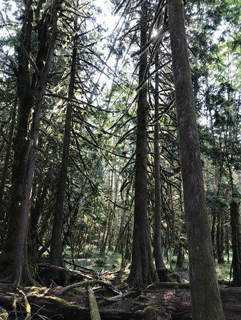 Moments in Time Trail