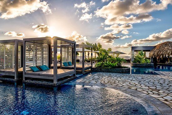 Delfins Beach Resort Bonaire Activities