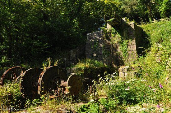 Luxulyan Valley Circular Walk