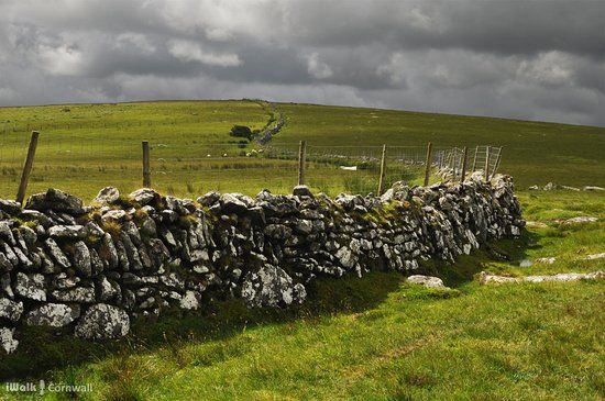 Altarnun and West Moor Circular Walk
