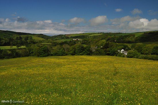 Kilkhampton to Coombe Valley