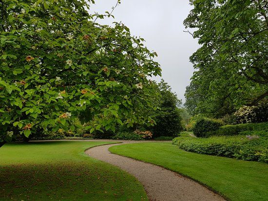 Lanhydrock and Respryn Circular Walk