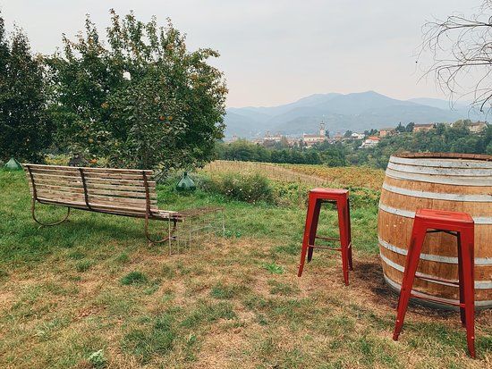 Azienda Agricola Molare's