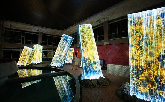 teamLab: A Forest Where Gods Live