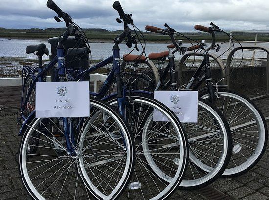 Harbour Cycle Hire