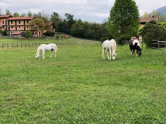 Sentiero de' Borgheri