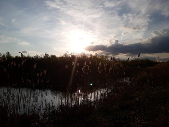 Tuttle Mash Wildlife Area