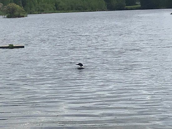 Flin Flon Wildlife Sanctuary