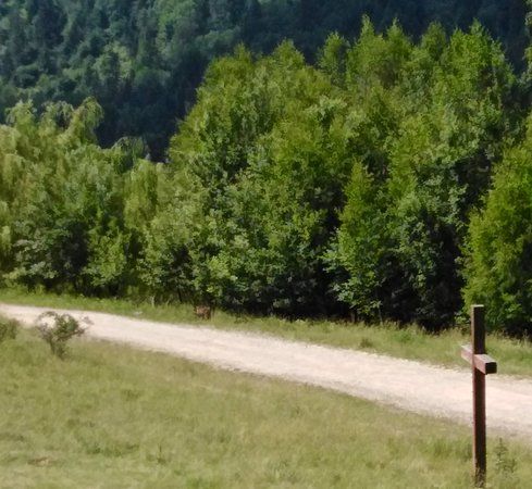 Manastirea Sf Treime