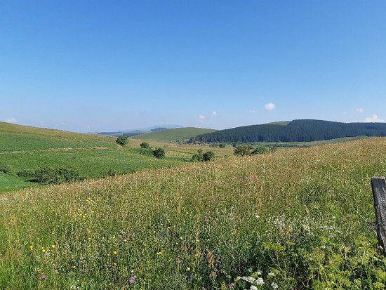 réserve naturelle nationale des sagnes de La Godivelle