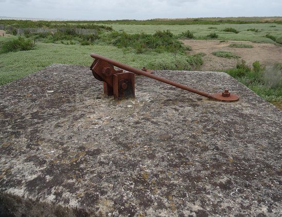 Reserve naturelle nationale de la Baie de l'Aiguillon