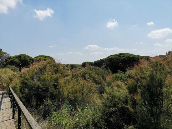 Jardin Botanico Dunas del Odiel