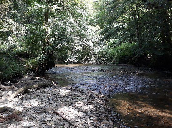 Loddiswell Walk & the Middle Avon Valley