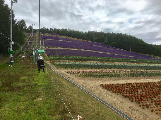 Nakafurano Flower Park