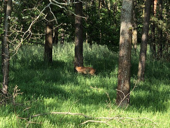 Wiesen- und Teichgebiet Eulo und Jamno