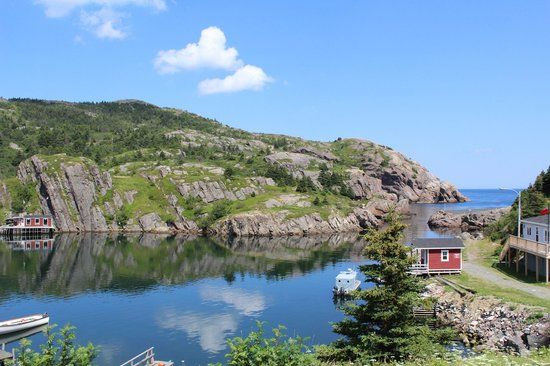 Quidi Vidi Battery