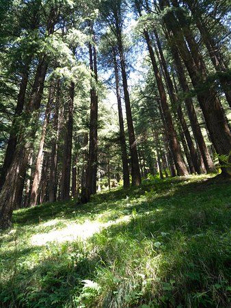 Bijli Mahadev Temple