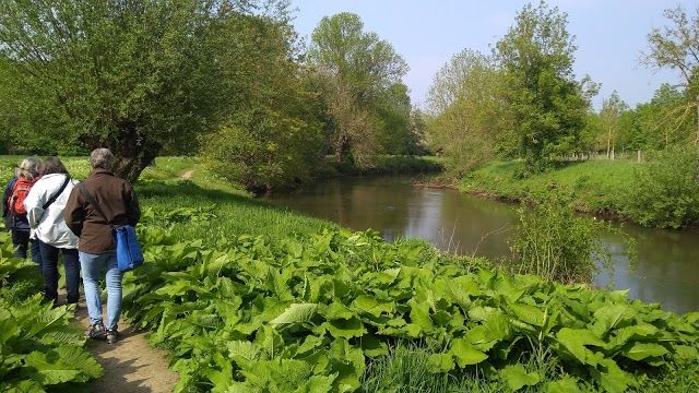 Stiftung Insel Hombroich