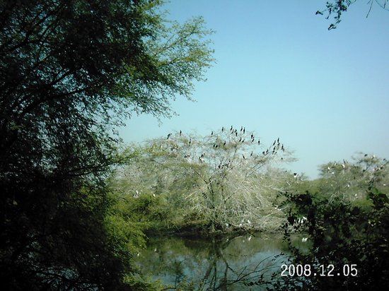 Keoladeo National Park