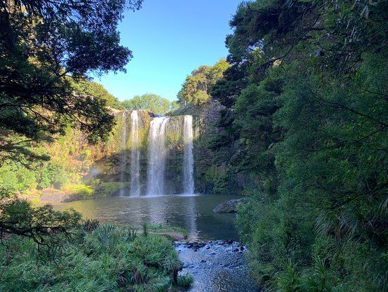 Whangarei Falls