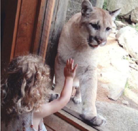 Squam Lakes Natural Science Center