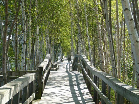 Sackville Waterfowl Park