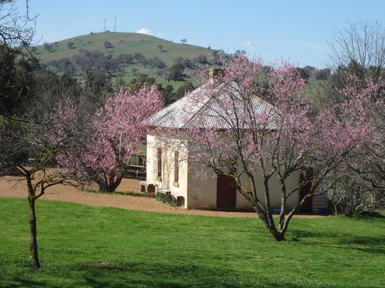 Cooma Cottage