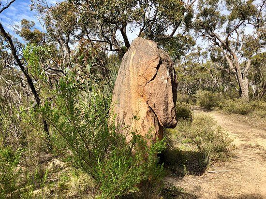 Kaiserstuhl Conservation Park