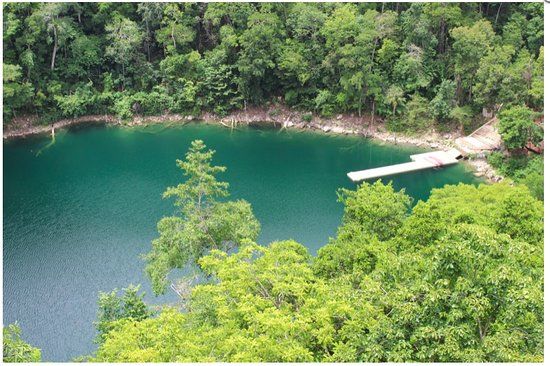 Cenote Miguel Colorado