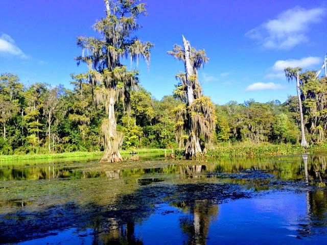 Wakulla Springs
