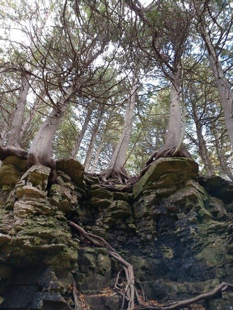 Door Bluff County Park