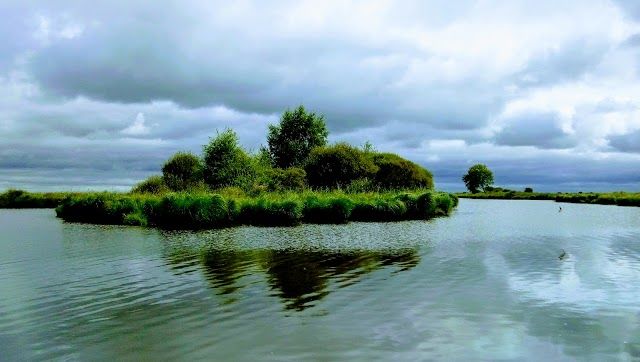 Parc Naturel Régional de Brière