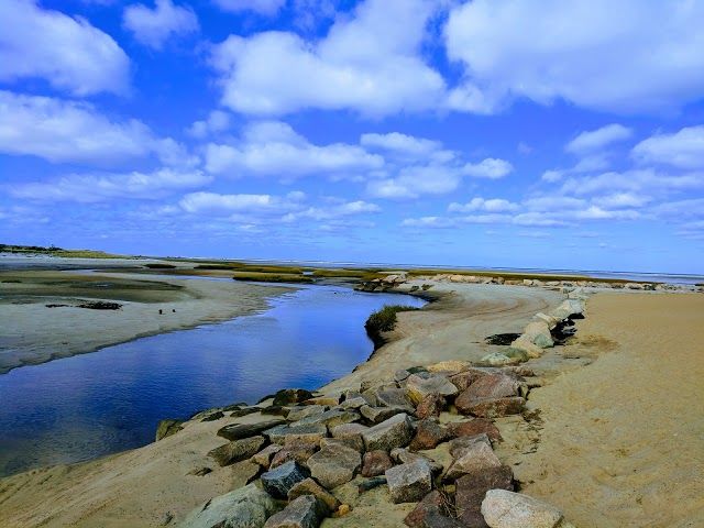 Paines Creek Landing and Beach