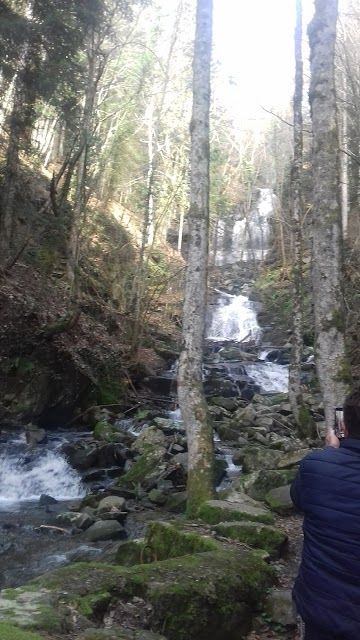 Riserva Naturale Statale Biogenetica di Vallombrosa