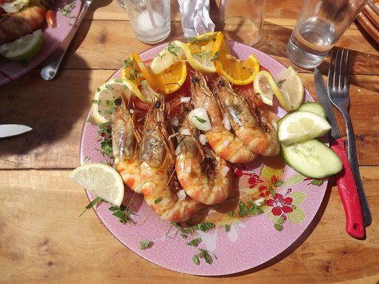 Les Palmiers Chez Neji et Catherine