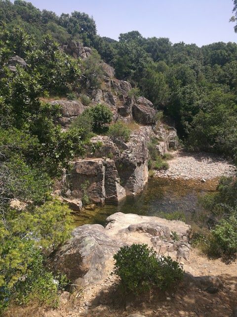 Centro Visite Oasi WWF di M. Arcosu