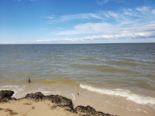 Bethel Beach Natural Area Preserve