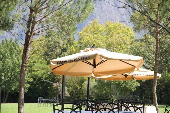 The Deli at Boschendal