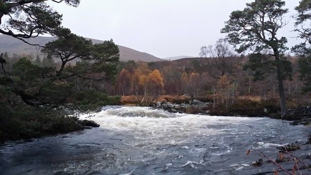Glen Affric
