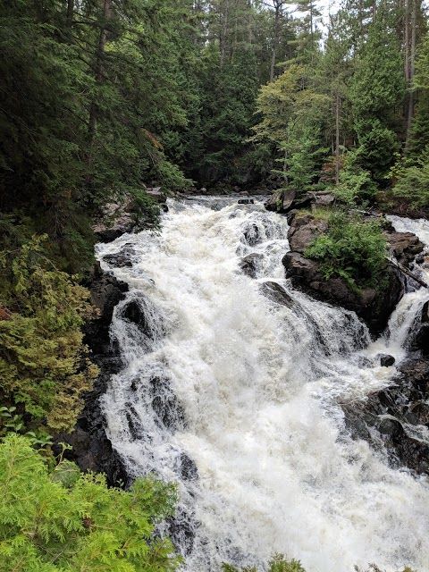 Eau Claire Gorge