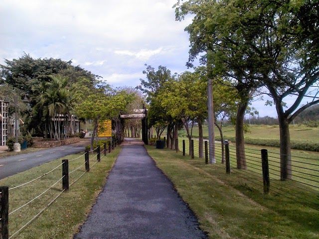 Paseo Lineal Rio Bayamon