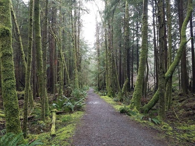 Third Beach Trailhead