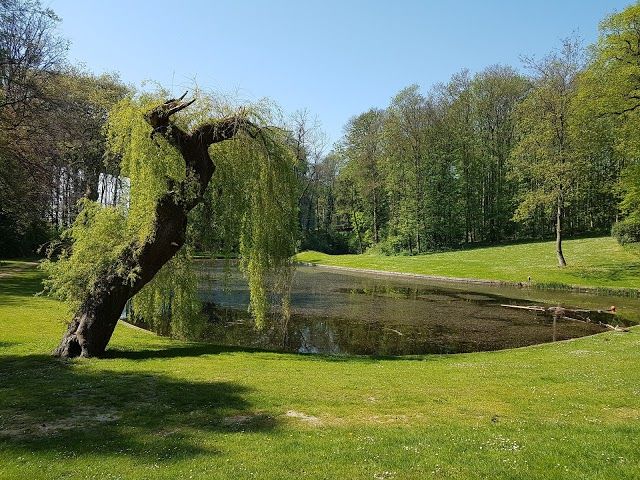 Domain Three Fountains