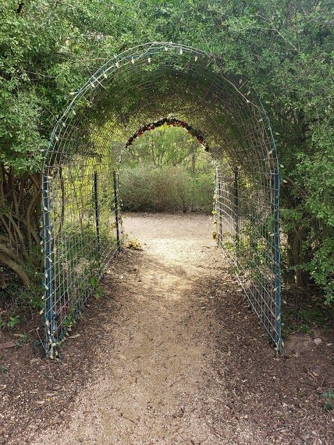 Edinburg Scenic Wetlands & World Birding Center