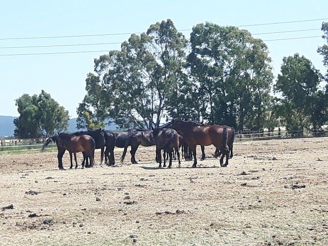 Parco Regionale della Maremma