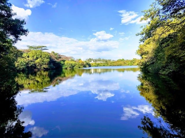 Parque Ecologico Prof. Hermogenes de Freitas Leitao