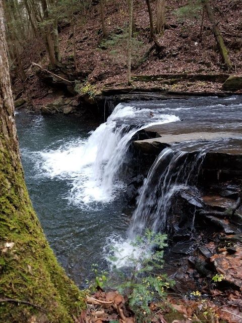 Fiery Gizzard Recreation Area